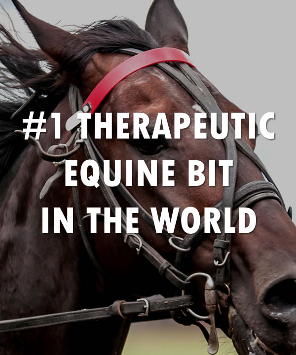 The #1 Therapeutic equine bit in the world